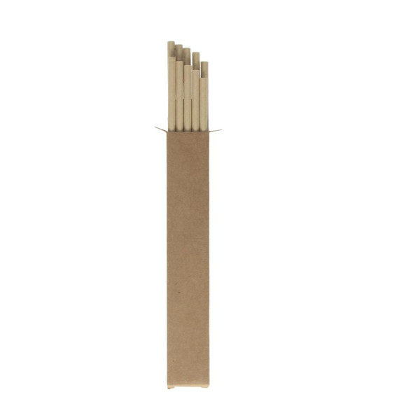 Papierstrohhalm 10er Set