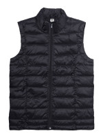 Schwarz (Black)