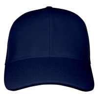 Navy (PMS 533C) / Navy